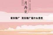 竟价推广  竞价推广是什么意思