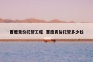 百度竞价托管工程  百度竞价托管多少钱
