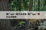推广app一般什么价格  推广app一般什么价格好