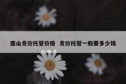 眉山竞价托管价格  竞价托管一般要多少钱