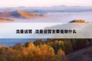流量运营  流量运营主要是做什么