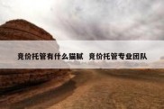 竞价托管有什么猫腻  竞价托管专业团队