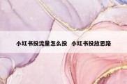 小红书投流量怎么投  小红书投放思路