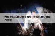 大型竞价托管公司有哪些  竞价托管公司操作流程