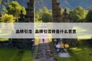 品牌引流  品牌引流砖是什么意思