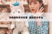济南搜狗竞价托管  搜狗竞价平台