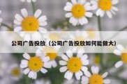 公司广告投放（公司广告投放如何能做大）