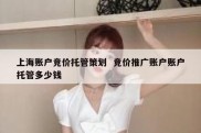 上海账户竞价托管策划  竞价推广账户账户托管多少钱
