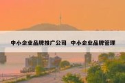 中小企业品牌推广公司  中小企业品牌管理
