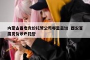 内蒙古百度竞价托管公司哪里靠谱  西安百度竞价账户托管