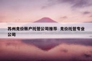 苏州竞价账户托管公司推荐  竞价托管专业公司
