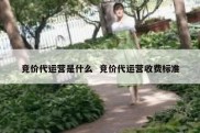 竞价代运营是什么  竞价代运营收费标准
