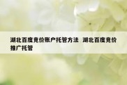 湖北百度竞价账户托管方法  湖北百度竞价推广托管
