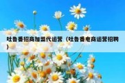 吐鲁番招商加盟代运营（吐鲁番电商运营招聘）