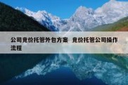 公司竞价托管外包方案  竞价托管公司操作流程