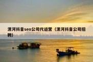 漯河抖音seo公司代运营（漯河抖音公司招聘）