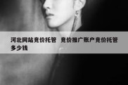 河北网站竞价托管  竞价推广账户竞价托管多少钱