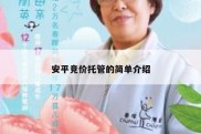 安平竞价托管的简单介绍