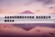 企业竞价托管报价方式包括  竞价托管公司联系方式
