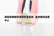 湖南安顺搜狗竞价托管系统  贵州搜狗运营中心