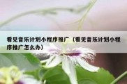 看见音乐计划小程序推广（看见音乐计划小程序推广怎么办）