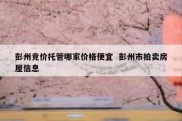 彭州竞价托管哪家价格便宜  彭州市拍卖房屋信息