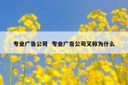 专业广告公司  专业广告公司又称为什么
