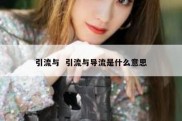 引流与  引流与导流是什么意思
