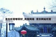 竞价托管哪家好_异变网络  竞价网站托管
