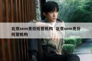 北京sem竞价托管机构  北京sem竞价托管机构