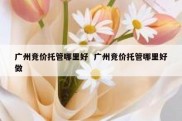 广州竞价托管哪里好  广州竞价托管哪里好做