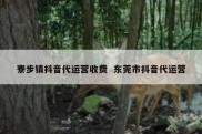 寮步镇抖音代运营收费  东莞市抖音代运营
