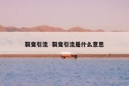 裂变引流  裂变引流是什么意思