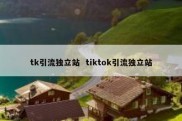 tk引流独立站  tiktok引流独立站