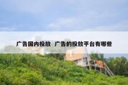 广告国内投放  广告的投放平台有哪些