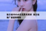 独立站tiktok引流真实现状  独立站推广渠道有哪些