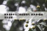 拼多多新手入门级运营技巧  拼多多0基础怎么运营