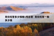 竞价托管多少钱搜1号总管  竞价托管一般多少钱