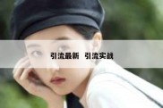 引流最新  引流实战