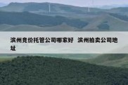 滨州竞价托管公司哪家好  滨州拍卖公司地址