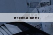 龙飞竞价托管  股市龙飞