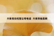 六安竞价托管公司电话  六安市拍卖网
